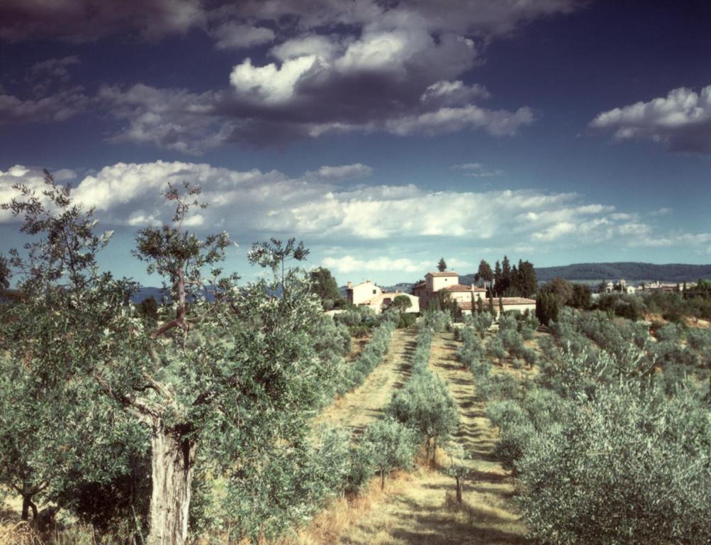 Il Borghetto Country Inn San Casciano in Val di Pesa Εξωτερικό φωτογραφία