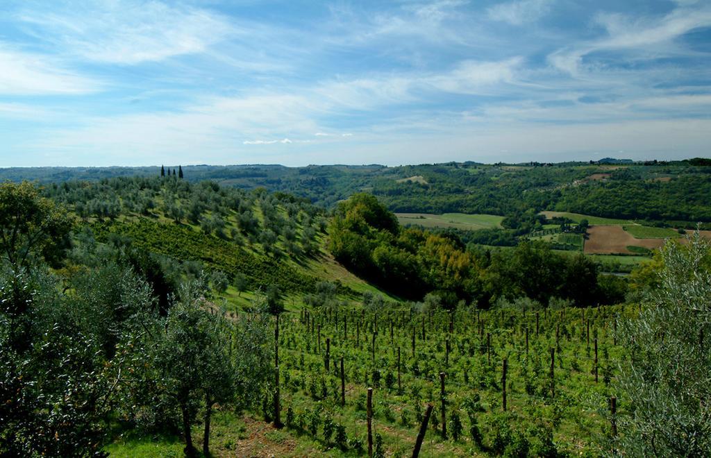 Il Borghetto Country Inn San Casciano in Val di Pesa Εξωτερικό φωτογραφία