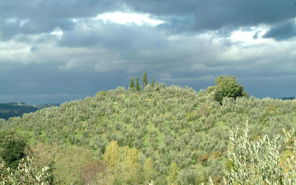 Il Borghetto Country Inn San Casciano in Val di Pesa Εξωτερικό φωτογραφία